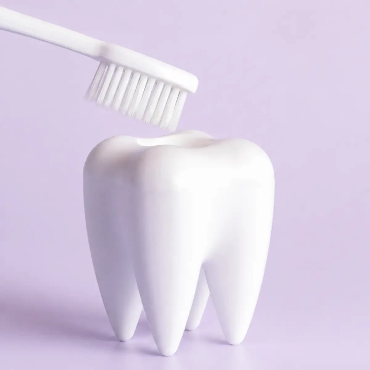 White toothbrush above a tooth model on a lavender background